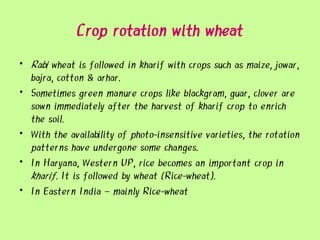 production technology of rabi crops , wheat , barley | PDF