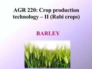 production technology of rabi crops , wheat , barley | PDF