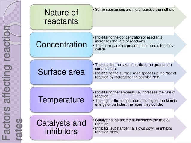 rates of reaction 5 essay Rates of reaction the task that we there's a specialist from your university waiting to help you with that essay tell us what you need to have done now order. rates of reaction 5 essay Rates of reaction the task that we there's a specialist from your university waiting to help you with that essay tell us what you need to have done now order.