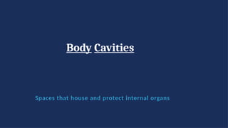 Body Cavities
Spaces that house and protect internal organs
 