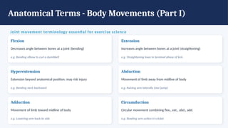 Anatomical Terms - Body Movements (Part I)
Joint movement terminology essential for exercise science
Flexion
Decreases angle between bones at a joint (bending)
e.g. Bending elbow to curl a dumbbell
Extension
Increases angle between bones at a joint (straightening)
e.g. Straightening knee in terminal phase of kick
Hyperextension
Extension beyond anatomical position; may risk injury
e.g. Bending neck backward
Abduction
Movement of limb away from midline of body
e.g. Raising arm laterally (star jump)
Adduction
Movement of limb toward midline of body
e.g. Lowering arm back to side
Circumduction
Circular movement combining flex., ext., abd., add.
e.g. Bowling arm action in cricket
 