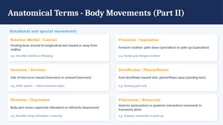 Anatomical Terms - Body Movements (Part II)
Rotational and special movements
Rotation (Medial / Lateral)
Pivoting bone around its longitudinal axis toward or away from
midline
e.g. Shoulder rotation in throwing
Pronation / Supination
Forearm rotation: palm down (pronation) or palm up (supination)
e.g. Racket grip changes in tennis
Inversion / Eversion
Sole of foot turns inward (inversion) or outward (eversion)
e.g. Ankle sprains — lateral inversion injury
Dorsiflexion / Plantarflexion
Foot dorsiflexes toward shin; plantarflexes away (pointing toes)
e.g. Running gait cycle
Elevation / Depression
Body part moves superiorly (elevation) or inferiorly (depression)
e.g. Shoulder shrug (elevation) / lowering
Protraction / Retraction
Anterior (protraction) or posterior (retraction) movement in
transverse plane
e.g. Scapular protraction in push-up
 