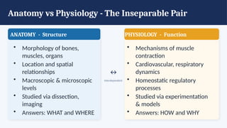 Anatomy vs Physiology - The Inseparable Pair
ANATOMY - Structure
• Morphology of bones,
muscles, organs
• Location and spatial
relationships
• Macroscopic & microscopic
levels
• Studied via dissection,
imaging
• Answers: WHAT and WHERE
PHYSIOLOGY - Function
• Mechanisms of muscle
contraction
• Cardiovascular, respiratory
dynamics
• Homeostatic regulatory
processes
• Studied via experimentation
& models
• Answers: HOW and WHY
↔
Interdependent
 