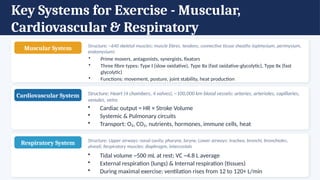 Key Systems for Exercise - Muscular,
Cardiovascular & Respiratory
Muscular System Structure: ~640 skeletal muscles; muscle fibres, tendons, connective tissue sheaths (epimysium, perimysium,
endomysium)
• Prime movers, antagonists, synergists, fixators
• Three fibre types: Type I (slow oxidative), Type IIa (fast oxidative-glycolytic), Type IIx (fast
glycolytic)
• Functions: movement, posture, joint stability, heat production
Cardiovascular System Structure: Heart (4 chambers, 4 valves), ~100,000 km blood vessels: arteries, arterioles, capillaries,
venules, veins
• Cardiac output = HR × Stroke Volume
• Systemic & Pulmonary circuits
• Transport: O₂, CO₂, nutrients, hormones, immune cells, heat
Respiratory System Structure: Upper airways: nasal cavity, pharynx, larynx; Lower airways: trachea, bronchi, bronchioles,
alveoli; Respiratory muscles: diaphragm, intercostals
• Tidal volume ~500 mL at rest; VC ~4.8 L average
• External respiration (lungs) & Internal respiration (tissues)
• During maximal exercise: ventilation rises from 12 to 120+ L/min
 