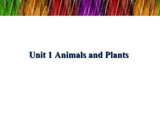 Unit 1 Animals and Plants 