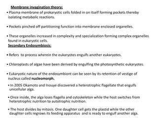 Unit 1 An Overview of Cells and Cell Research.pdf