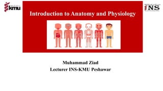 Introduction to Anatomy and Physiology
Muhammad Ziad
Lecturer INS-KMU Peshawar
 