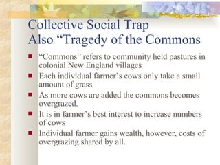 Collective Social Trap Also “Tragedy of the Commons “ Commons” refers to community held pastures in colonial New England villages Each individual farmer’s cows only take a small amount of grass  As more cows are added the commons becomes overgrazed. It is in farmer’s best interest to increase numbers of cows Individual farmer gains wealth, however, costs of overgrazing shared by all. 