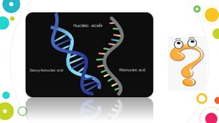 UNIT 1 BIOCHEMISTRY.pptx