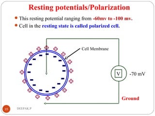Resting potentials/Polarization
This resting potential ranging from -60mv to -100 mv.
Cell in the resting state is called polarized cell.
15 DEEPAK.P
Ground
V
Cell Membrane
-70 mV
 