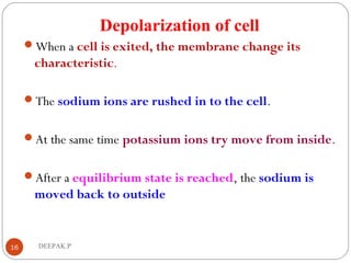 Depolarization of cell
When a cell is exited, the membrane change its
characteristic.
The sodium ions are rushed in to the cell.
At the same time potassium ions try move from inside.
After a equilibrium state is reached, the sodium is
moved back to outside
16 DEEPAK.P
 