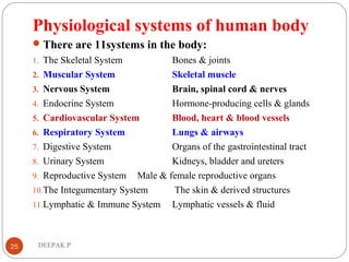 Physiological systems of human body
There are 11systems in the body:
1. The Skeletal System Bones & joints
2. Muscular System Skeletal muscle
3. Nervous System Brain, spinal cord & nerves
4. Endocrine System Hormone-producing cells & glands
5. Cardiovascular System Blood, heart & blood vessels
6. Respiratory System Lungs & airways
7. Digestive System Organs of the gastrointestinal tract
8. Urinary System Kidneys, bladder and ureters
9. Reproductive System Male & female reproductive organs
10.The Integumentary System The skin & derived structures
11.Lymphatic & Immune System Lymphatic vessels & fluid
25 DEEPAK.P
 