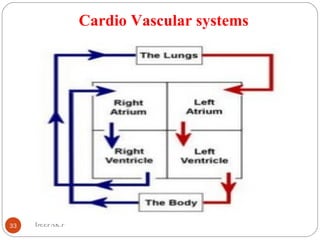 Cardio Vascular systems
33 DEEPAK.P
 