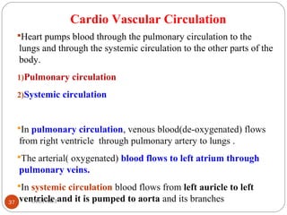 Cardio Vascular Circulation
Heart pumps blood through the pulmonary circulation to the
lungs and through the systemic circulation to the other parts of the
body.
1)Pulmonary circulation
2)Systemic circulation
In pulmonary circulation, venous blood(de-oxygenated) flows
from right ventricle through pulmonary artery to lungs .
The arterial( oxygenated) blood flows to left atrium through
pulmonary veins.
In systemic circulation blood flows from left auricle to left
ventricle and it is pumped to aorta and its branches37 DEEPAK.P
 