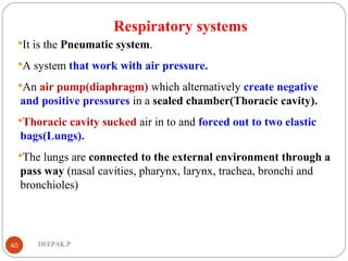 Respiratory systems
It is the Pneumatic system.
A system that work with air pressure.
An air pump(diaphragm) which alternatively create negative
and positive pressures in a sealed chamber(Thoracic cavity).
Thoracic cavity sucked air in to and forced out to two elastic
bags(Lungs).
The lungs are connected to the external environment through a
pass way (nasal cavities, pharynx, larynx, trachea, bronchi and
bronchioles)
40 DEEPAK.P
 