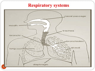 Respiratory systems
46 DEEPAK.P
 