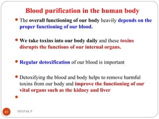 Blood purification in the human body
The overall functioning of our body heavily depends on the
proper functioning of our blood.
We take toxins into our body daily and these toxins
disrupts the functions of our internal organs.
Regular detoxification of our blood is important
Detoxifying the blood and body helps to remove harmful
toxins from our body and improve the functioning of our
vital organs such as the kidney and liver

47 DEEPAK.P
 