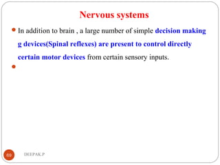 Nervous systems
In addition to brain , a large number of simple decision making
g devices(Spinal reflexes) are present to control directly
certain motor devices from certain sensory inputs.

69 DEEPAK.P
 