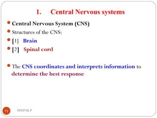 1. Central Nervous systems
Central Nervous System (CNS)
Structures of the CNS:
[1]  Brain
[2]  Spinal cord
The CNS coordinates and interprets information to
determine the best response 
71 DEEPAK.P
 