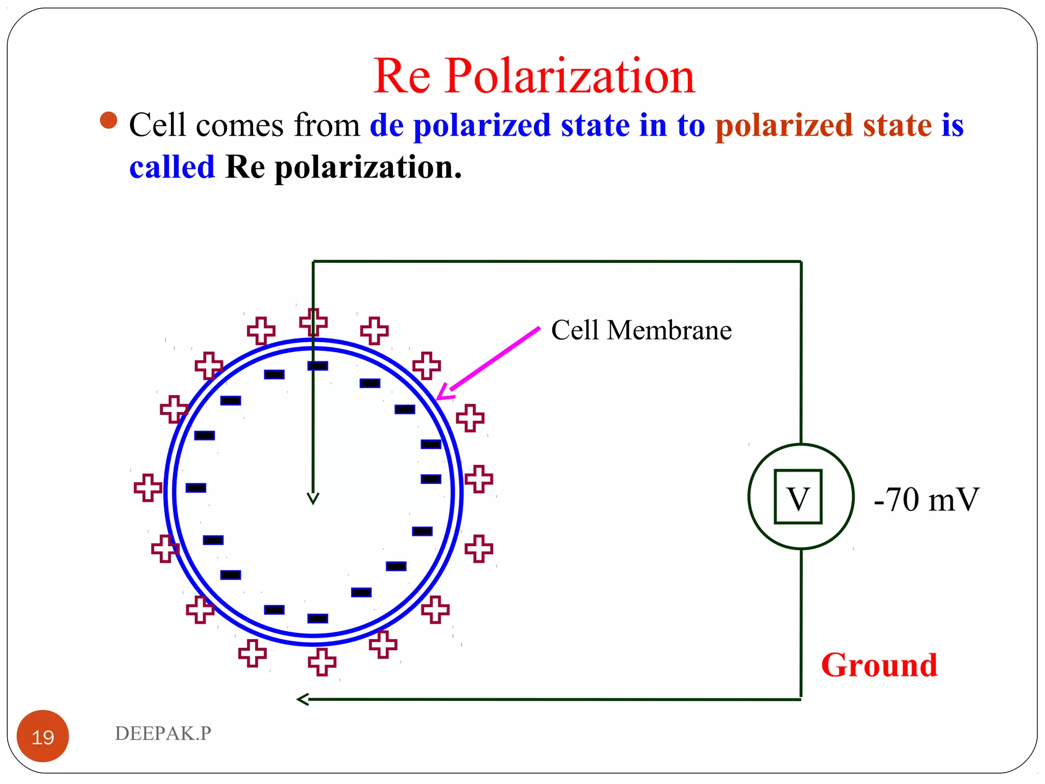 Re Polarization
Cell comes from de polarized state in to polarized state is
called Re polarization.
19 DEEPAK.P
Ground
V
Cell Membrane
-70 mV
 