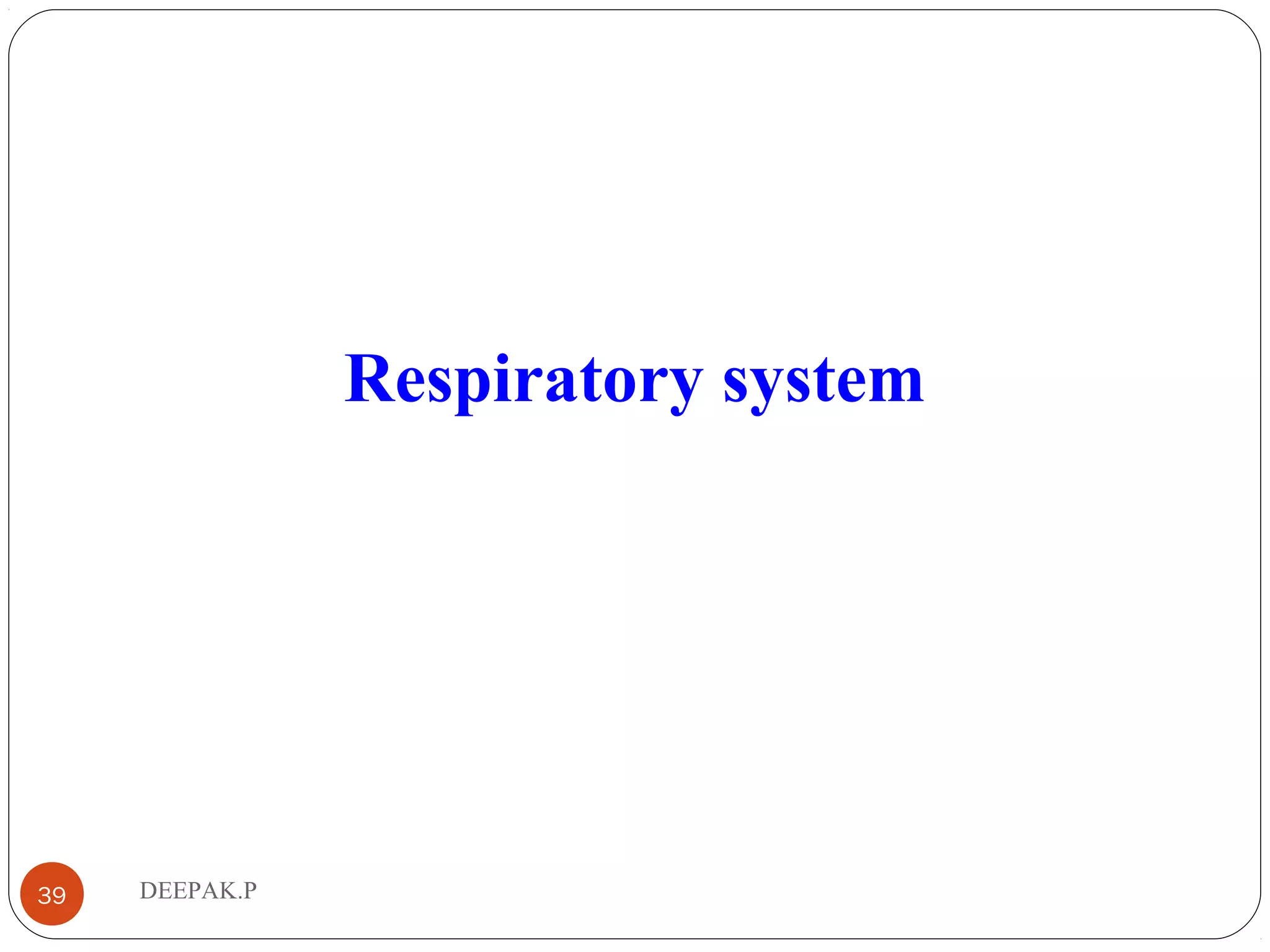 DEEPAK.P39
Respiratory system
 