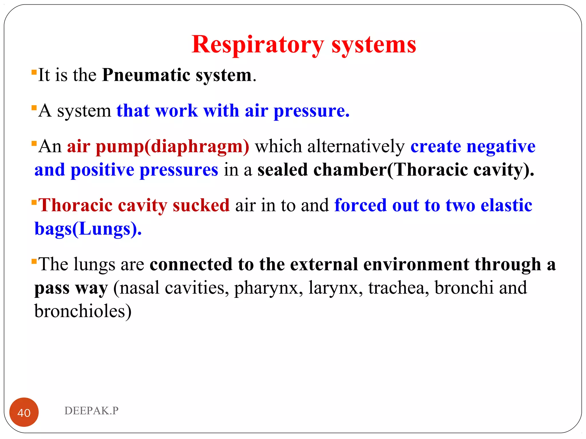 Respiratory systems
It is the Pneumatic system.
A system that work with air pressure.
An air pump(diaphragm) which alternatively create negative
and positive pressures in a sealed chamber(Thoracic cavity).
Thoracic cavity sucked air in to and forced out to two elastic
bags(Lungs).
The lungs are connected to the external environment through a
pass way (nasal cavities, pharynx, larynx, trachea, bronchi and
bronchioles)
40 DEEPAK.P
 