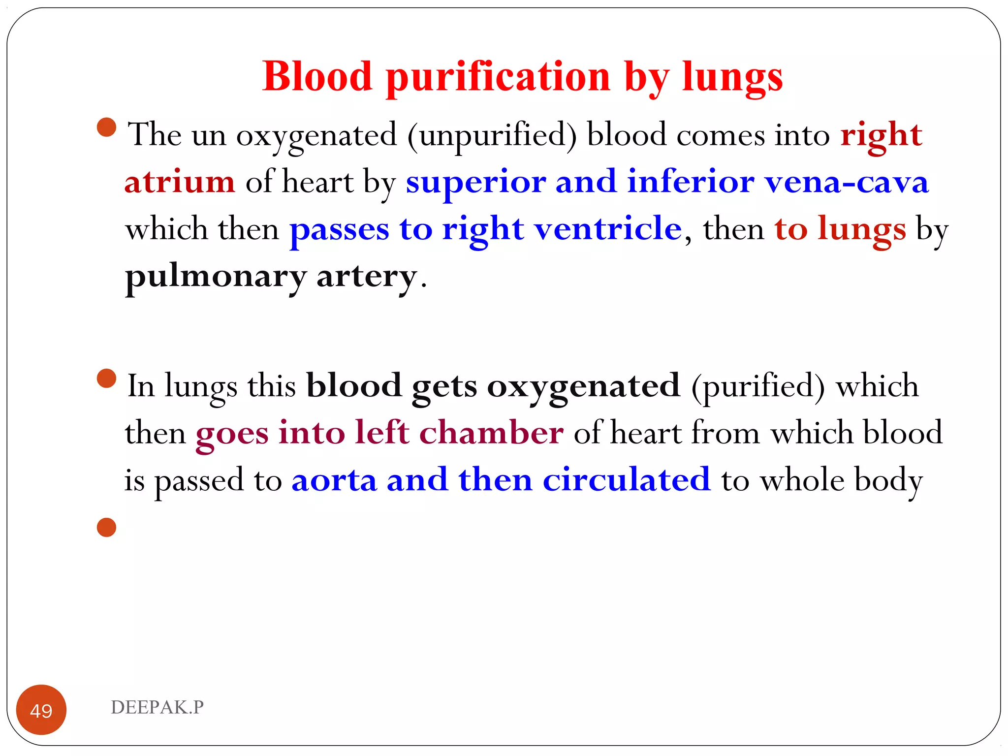 Blood purification by lungs
The un oxygenated (unpurified) blood comes into right
atrium of heart by superior and inferior vena-cava
which then passes to right ventricle, then to lungs by
pulmonary artery.
In lungs this blood gets oxygenated (purified) which
then goes into left chamber of heart from which blood
is passed to aorta and then circulated to whole body

49 DEEPAK.P
 