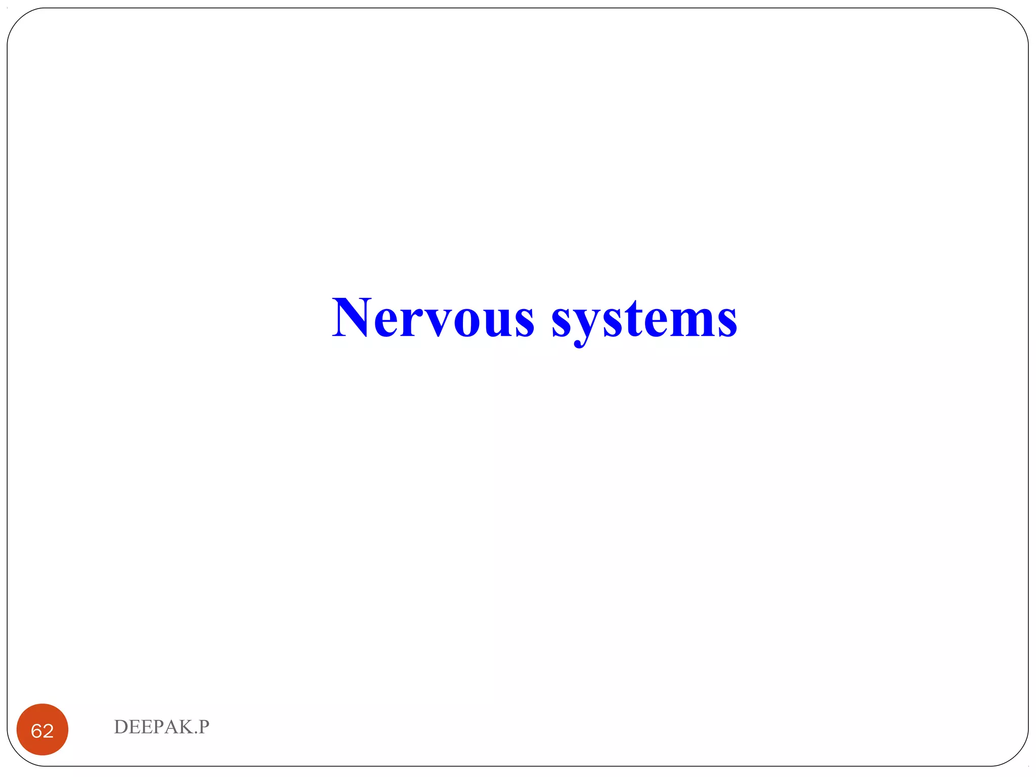 DEEPAK.P62
Nervous systems
 