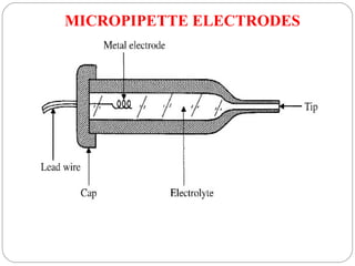 MICROPIPETTE ELECTRODES
 