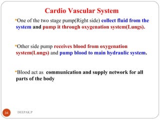 Cardio Vascular System
One of the two stage pump(Right side) collect fluid from the
system and pump it through oxygenation system(Lungs).
Other side pump receives blood from oxygenation
system(Lungs) and pump blood to main hydraulic system.
Blood act as communication and supply network for all
parts of the body
34 DEEPAK.P
 