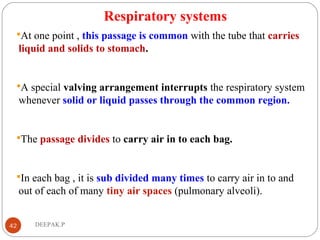 Respiratory systems
At one point , this passage is common with the tube that carries
liquid and solids to stomach.
A special valving arrangement interrupts the respiratory system
whenever solid or liquid passes through the common region.
The passage divides to carry air in to each bag.
In each bag , it is sub divided many times to carry air in to and
out of each of many tiny air spaces (pulmonary alveoli).
42 DEEPAK.P
 