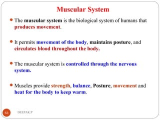 Muscular System
The muscular system is the biological system of humans that
produces movement.
It permits movement of the body, maintains posture, and
circulates blood throughout the body.
The muscular system is controlled through the nervous
system.
Muscles provide strength, balance, Posture, movement and
heat for the body to keep warm.
53 DEEPAK.P
 