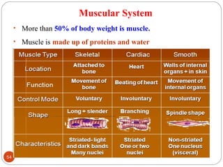 Muscular System
• More than 50% of body weight is muscle.
• Muscle is made up of proteins and water
54 DEEPAK.P
 
