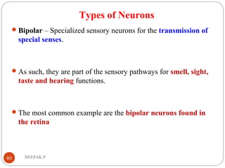 Types of Neurons
Bipolar – Specialized sensory neurons for the transmission of
special senses.
As such, they are part of the sensory pathways for smell, sight,
taste and hearing functions.
The most common example are the bipolar neurons found in
the retina
83 DEEPAK.P
 