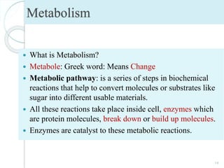 Metabolism
 What is Metabolism?
 Metabole: Greek word: Means Change
 Metabolic pathway: is a series of steps in biochemical
reactions that help to convert molecules or substrates like
sugar into different usable materials.
 All these reactions take place inside cell, enzymes which
are protein molecules, break down or build up molecules.
 Enzymes are catalyst to these metabolic reactions.
14
 