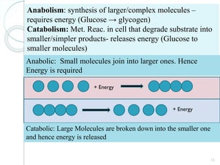 15
Anabolism: synthesis of larger/complex molecules –
requires energy (Glucose → glycogen)
Catabolism: Met. Reac. in cell that degrade substrate into
smaller/simpler products- releases energy (Glucose to
smaller molecules)
Anabolic: Small molecules join into larger ones. Hence
Energy is required
+ Energy
Catabolic: Large Molecules are broken down into the smaller one
and hence energy is released
+ Energy
 