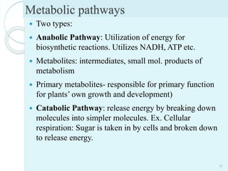 Metabolic pathways
 Two types:
 Anabolic Pathway: Utilization of energy for
biosynthetic reactions. Utilizes NADH, ATP etc.
 Metabolites: intermediates, small mol. products of
metabolism
 Primary metabolites- responsible for primary function
for plants’ own growth and development)
 Catabolic Pathway: release energy by breaking down
molecules into simpler molecules. Ex. Cellular
respiration: Sugar is taken in by cells and broken down
to release energy.
16
 