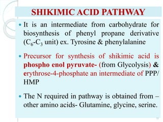 SHIKIMIC ACID PATHWAY
 It is an intermediate from carbohydrate for
biosynthesis of phenyl propane derivative
(C6-C3 unit) ex. Tyrosine & phenylalanine
 Precursor for synthesis of shikimic acid is
phospho enol pyruvate- (from Glycolysis) &
erythrose-4-phosphate an intermediate of PPP/
HMP
 The N required in pathway is obtained from –
other amino acids- Glutamine, glycine, serine.
31
 