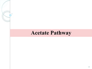Acetate Pathway
38
 
