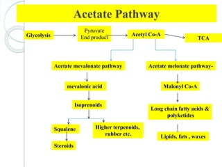 Acetate Pathway
Glycolysis
Pyruvate
End product
Acetyl Co-A
TCA
Acetate mevalonate pathway Acetate melonate pathway-
mevalonic acid Malonyl Co-A
Higher terpenoids,
rubber etc.
Long chain fatty acids &
polyketides
Isoprenoids
Squalene
Steroids
Lipids, fats , waxes
 
