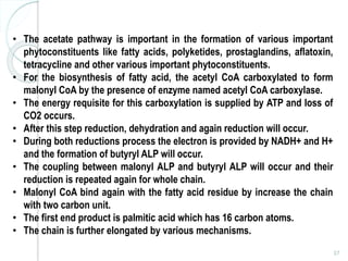 57
• The acetate pathway is important in the formation of various important
phytoconstituents like fatty acids, polyketides, prostaglandins, aflatoxin,
tetracycline and other various important phytoconstituents.
• For the biosynthesis of fatty acid, the acetyl CoA carboxylated to form
malonyl CoA by the presence of enzyme named acetyl CoA carboxylase.
• The energy requisite for this carboxylation is supplied by ATP and loss of
CO2 occurs.
• After this step reduction, dehydration and again reduction will occur.
• During both reductions process the electron is provided by NADH+ and H+
and the formation of butyryl ALP will occur.
• The coupling between malonyl ALP and butyryl ALP will occur and their
reduction is repeated again for whole chain.
• Malonyl CoA bind again with the fatty acid residue by increase the chain
with two carbon unit.
• The first end product is palmitic acid which has 16 carbon atoms.
• The chain is further elongated by various mechanisms.
 