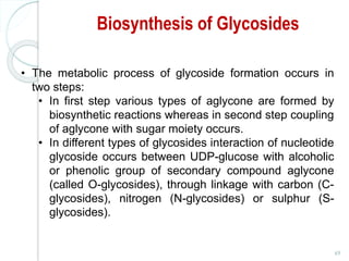 Biosynthesis of Glycosides
69
• The metabolic process of glycoside formation occurs in
two steps:
• In first step various types of aglycone are formed by
biosynthetic reactions whereas in second step coupling
of aglycone with sugar moiety occurs.
• In different types of glycosides interaction of nucleotide
glycoside occurs between UDP-glucose with alcoholic
or phenolic group of secondary compound aglycone
(called O-glycosides), through linkage with carbon (C-
glycosides), nitrogen (N-glycosides) or sulphur (S-
glycosides).
 