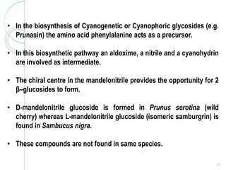 75
• In the biosynthesis of Cyanogenetic or Cyanophoric glycosides (e.g.
Prunasin) the amino acid phenylalanine acts as a precursor.
• In this biosynthetic pathway an aldoxime, a nitrile and a cyanohydrin
are involved as intermediate.
• The chiral centre in the mandelonitrile provides the opportunity for 2
β–glucosides to form.
• D-mandelonitrile glucoside is formed in Prunus serotina (wild
cherry) whereas L-mandelonitrile glucoside (isomeric samburgrin) is
found in Sambucus nigra.
• These compounds are not found in same species.
 