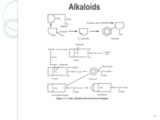 Alkaloids
83
 
