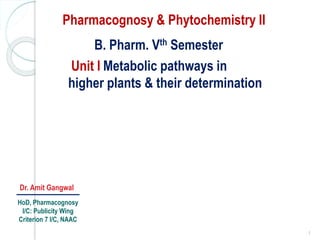1
Pharmacognosy & Phytochemistry II
B. Pharm. Vth Semester
Metabolic pathways in
higher plants & their determination
Unit I
Dr. Amit Gangwal
HoD, Pharmacognosy
I/C: Publicity Wing
Criterion 7 I/C, NAAC
 