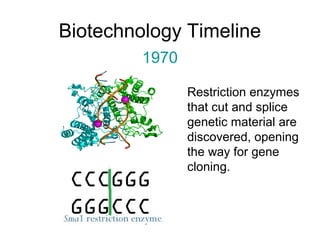 Biotechnology Timeline 
1970 
Restriction enzymes 
that cut and splice 
genetic material are 
discovered, opening 
the way for gene 
cloning. 
 