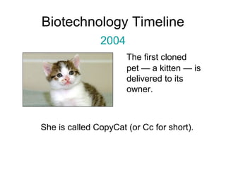 Biotechnology Timeline 
2004 
The first cloned 
pet — a kitten — is 
delivered to its 
owner. 
She is called CopyCat (or Cc for short). 
 