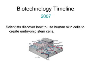 Biotechnology Timeline 
2007 
Scientists discover how to use human skin cells to 
create embryonic stem cells. 
 