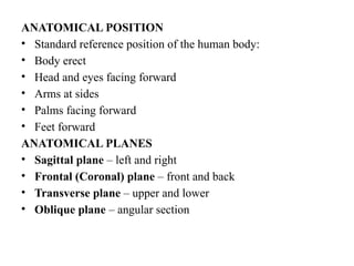 Natural Human Position UNIT – 1 BM25C01 anatomy and human physiology notes | PPTX