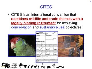 Cites Function Complete presentation on the_CITES (1).ppt
